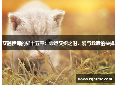 穿越伊甸的猫十五章：命运交织之时，爱与救赎的抉择
