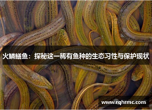 火鳞鳝鱼：探秘这一稀有鱼种的生态习性与保护现状